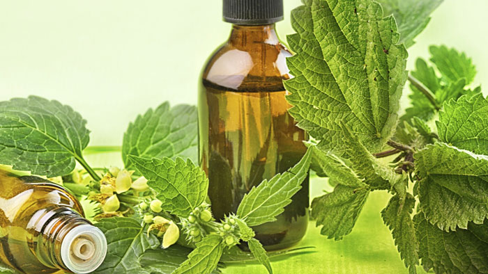 داروی گیاهی برای ترک شیشه