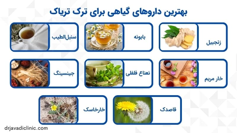 بهترین داروهای گیاهی برای ترک تریاک