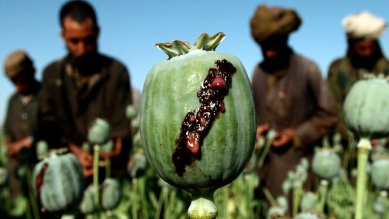 عوارض بلندمدت و مزمن خوردن شیره تریاک