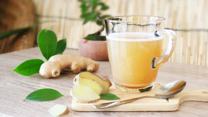 نقش کمکی زنجبیل در مدیریت عوارض ترک اعتیاد